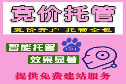SEM托管公司案例研究：转化路径优化